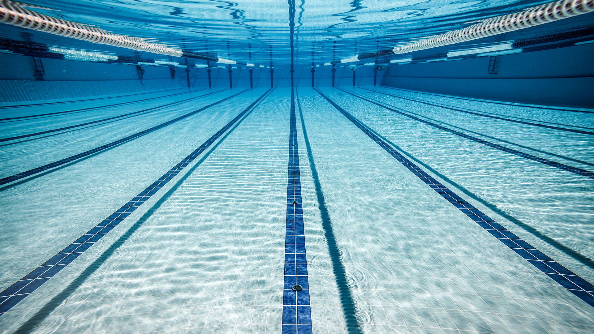 Blick unter Wasser durch die Schwimmbahnen eines Schwimmbeckens